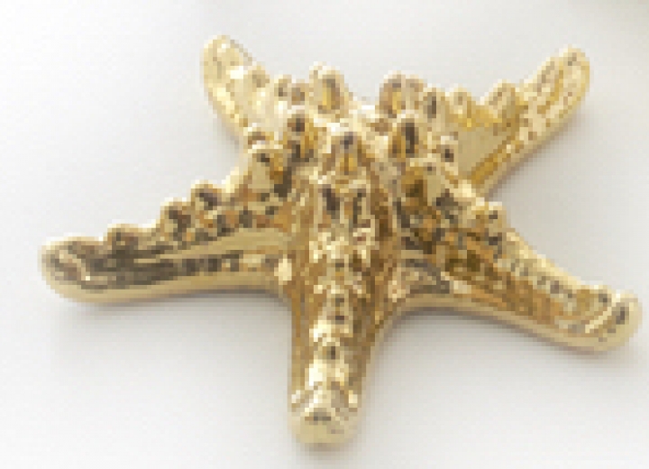 STARFISH